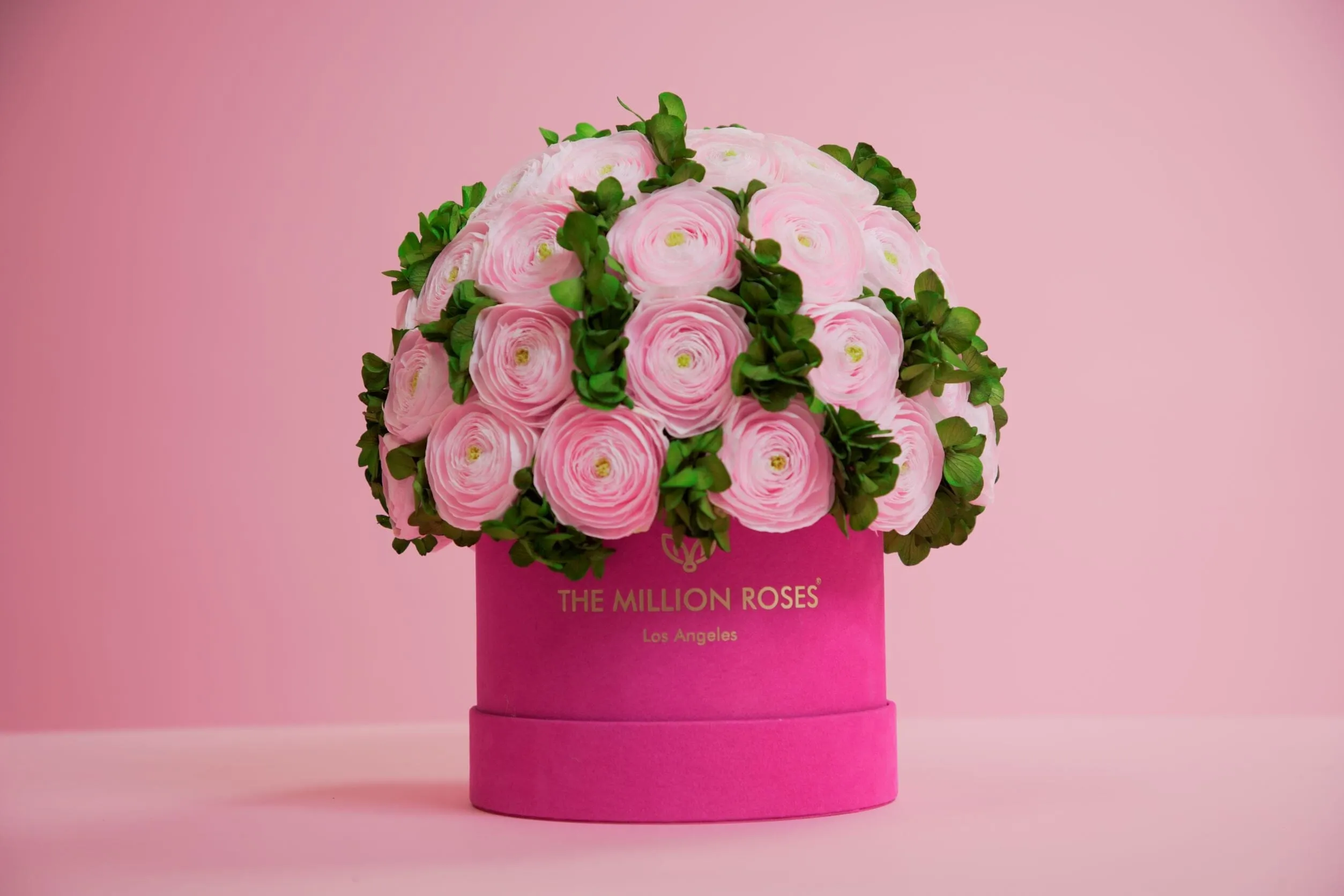 Classic Hot Pink Suede Box | Light Pink Persian Buttercups & Green Hydrangeas